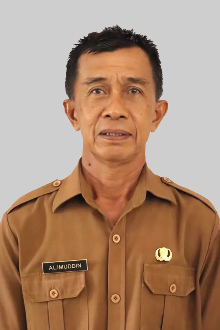 Drs. Alimuddin