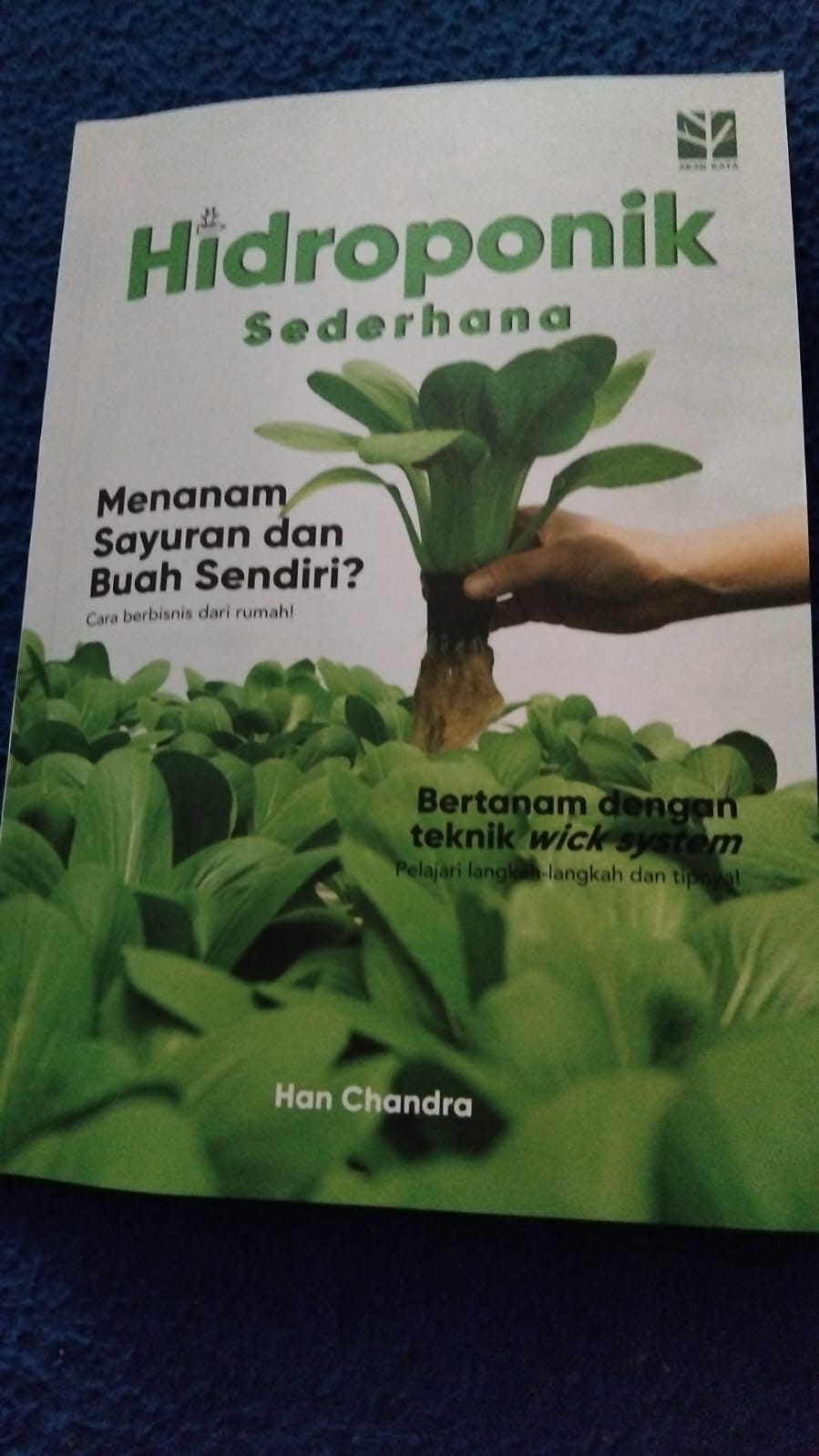 Sampul buku HIDROPONIK SEDERHANA
