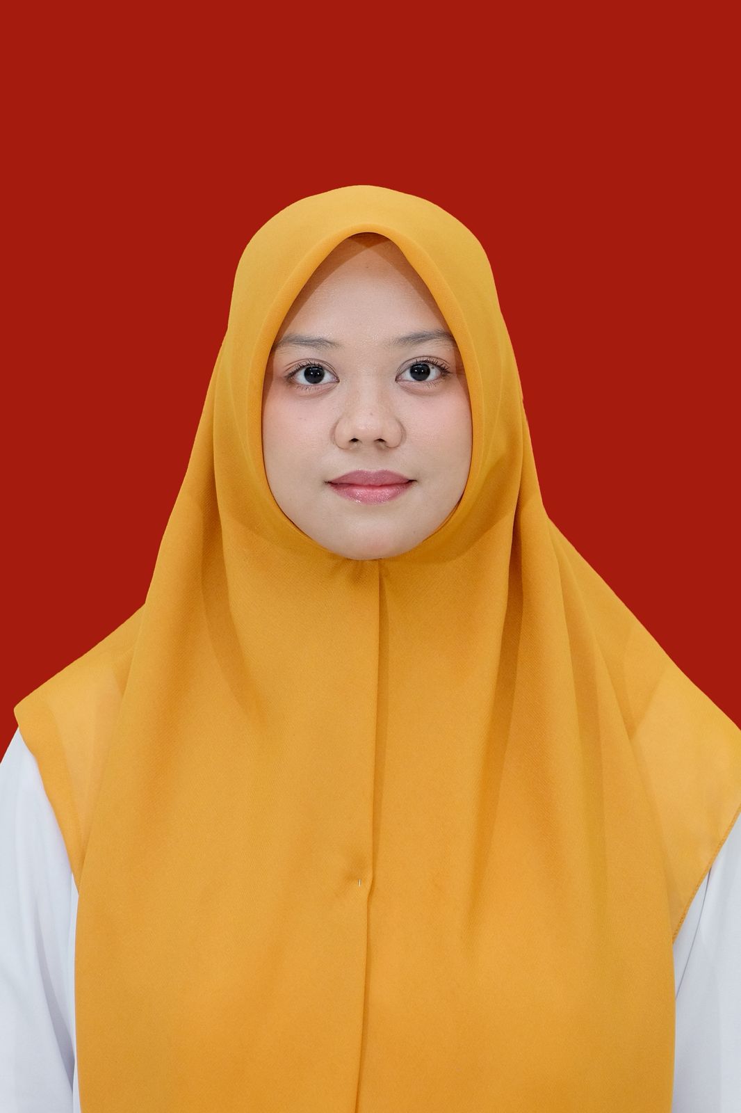 Hamidah, S.Si.